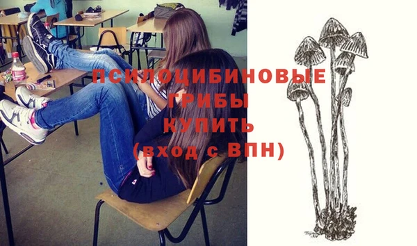 мдма Белокуриха