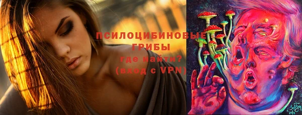 мдма Белокуриха